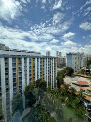 Blk 313 Teck Ghee Evergreen (Ang Mo Kio), HDB 3 Rooms #559724001